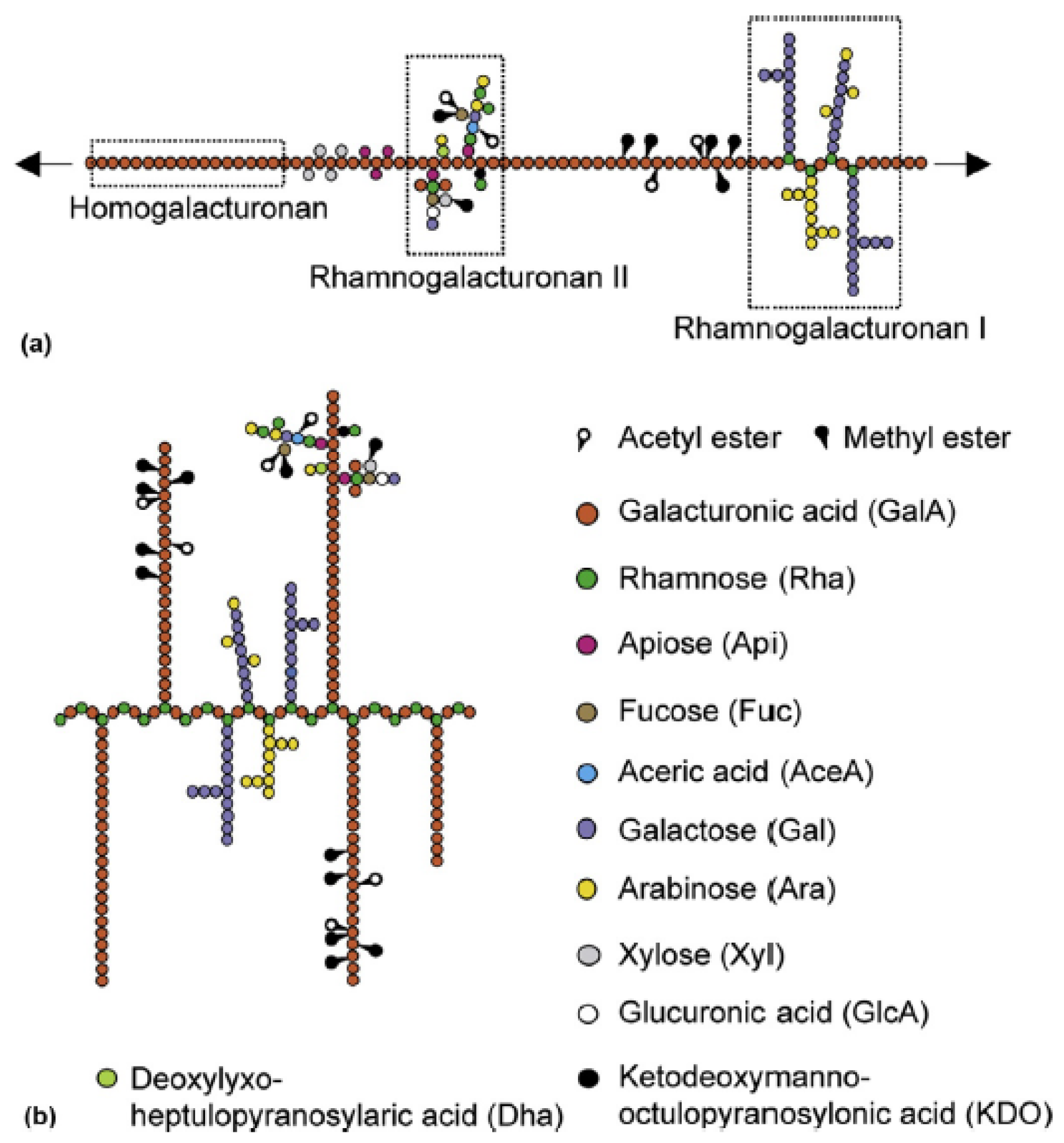 Polymers 14 04257 g003