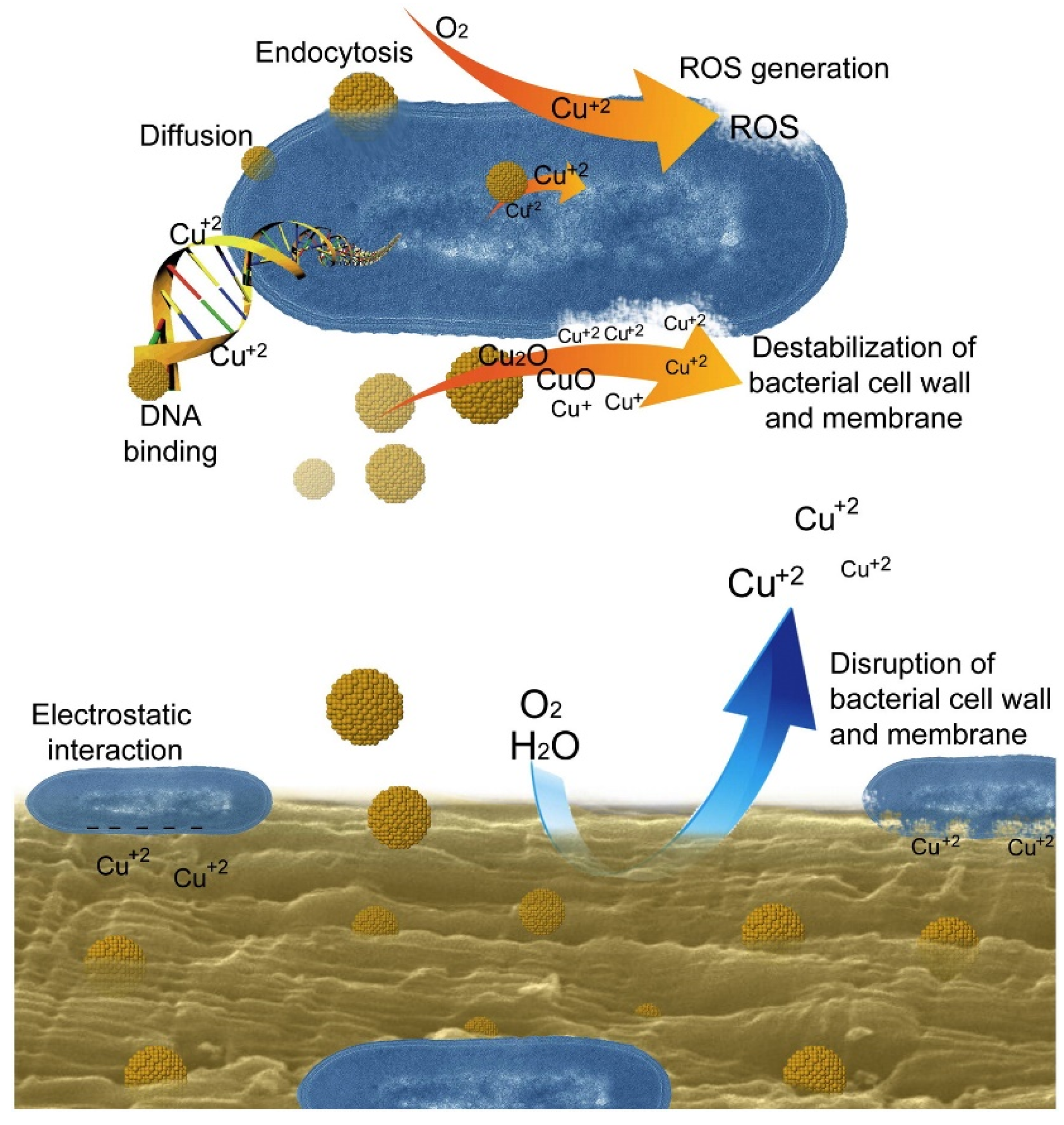 Polymers 14 04257 g008