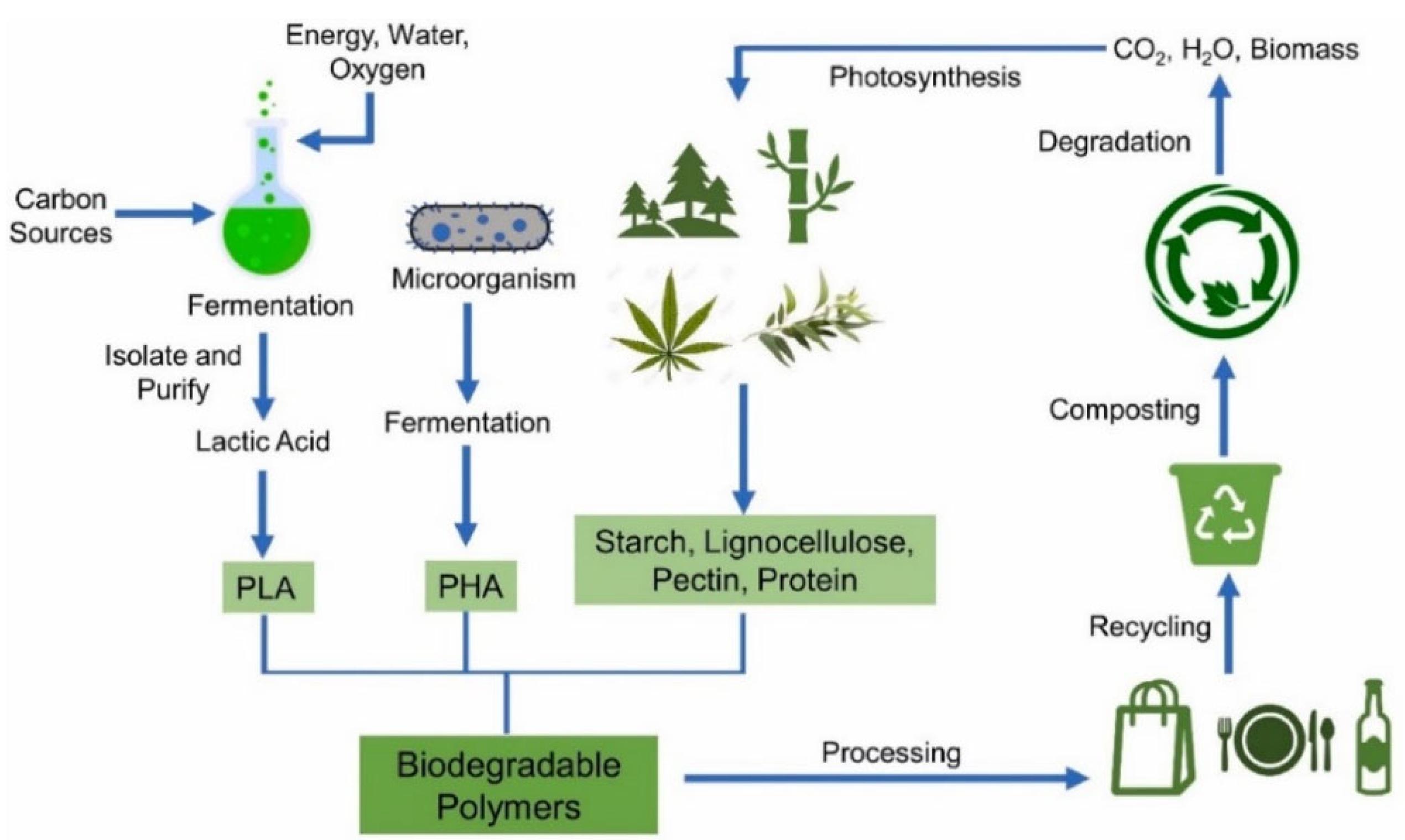 Polymers 14 04257 g011