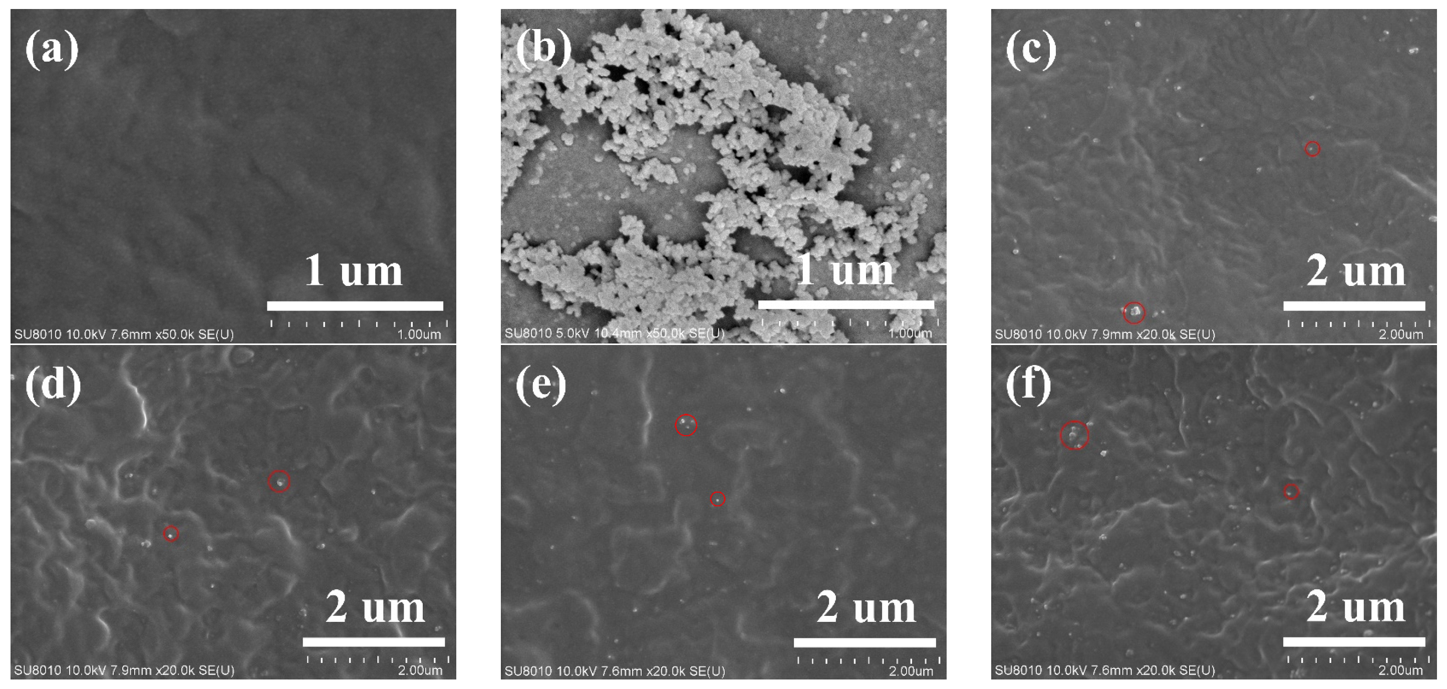 Polymers 14 04260 g003
