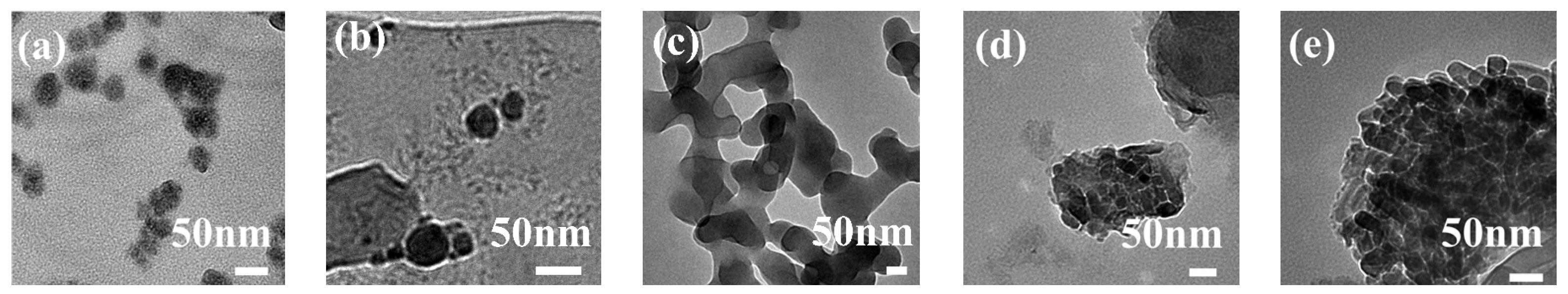 Polymers 14 04260 g004