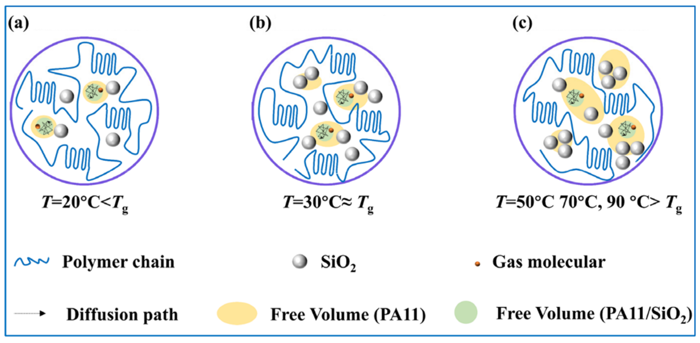 Polymers 14 04260 g012