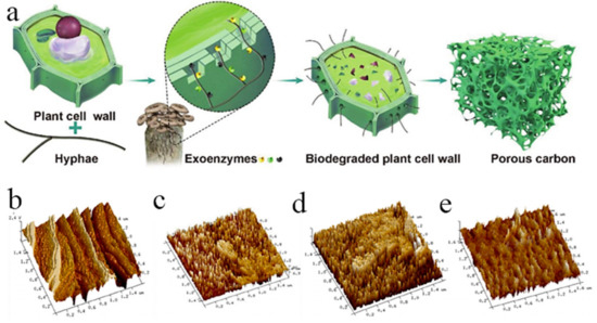 ムゥ Advances in Micro-/Mesopore Regulation Methods for Plant