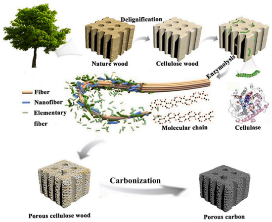 ムゥ Advances in Micro-/Mesopore Regulation Methods for Plant