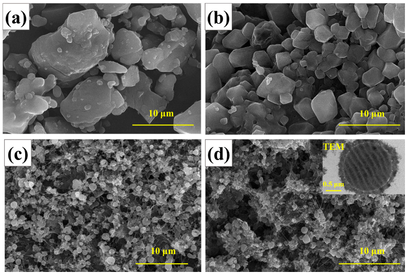 Polymers 14 04262 g004 Polymers 14 04262 g004