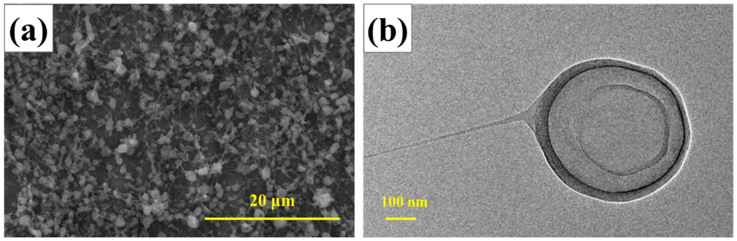 Polymers 14 04262 g006 Polymers 14 04262 g006
