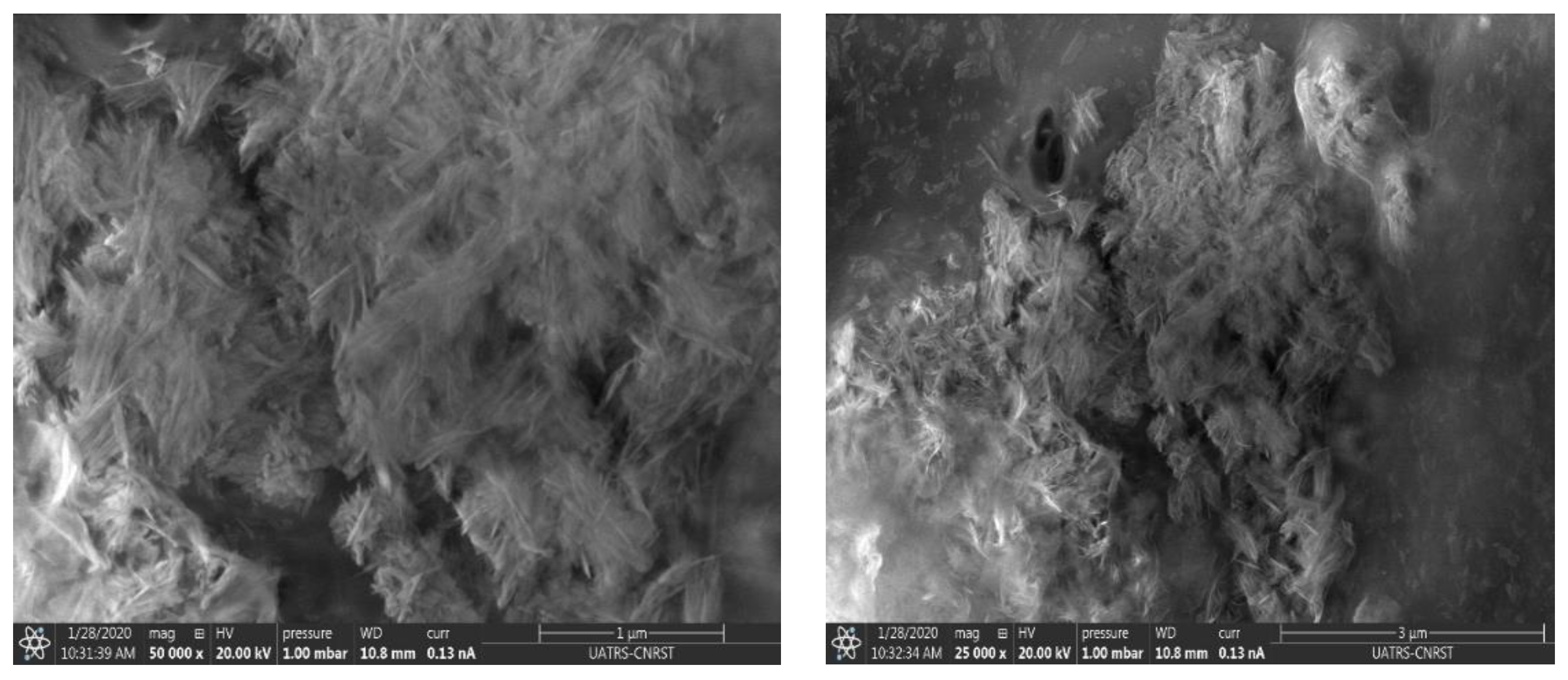 Polymers 14 04265 g004