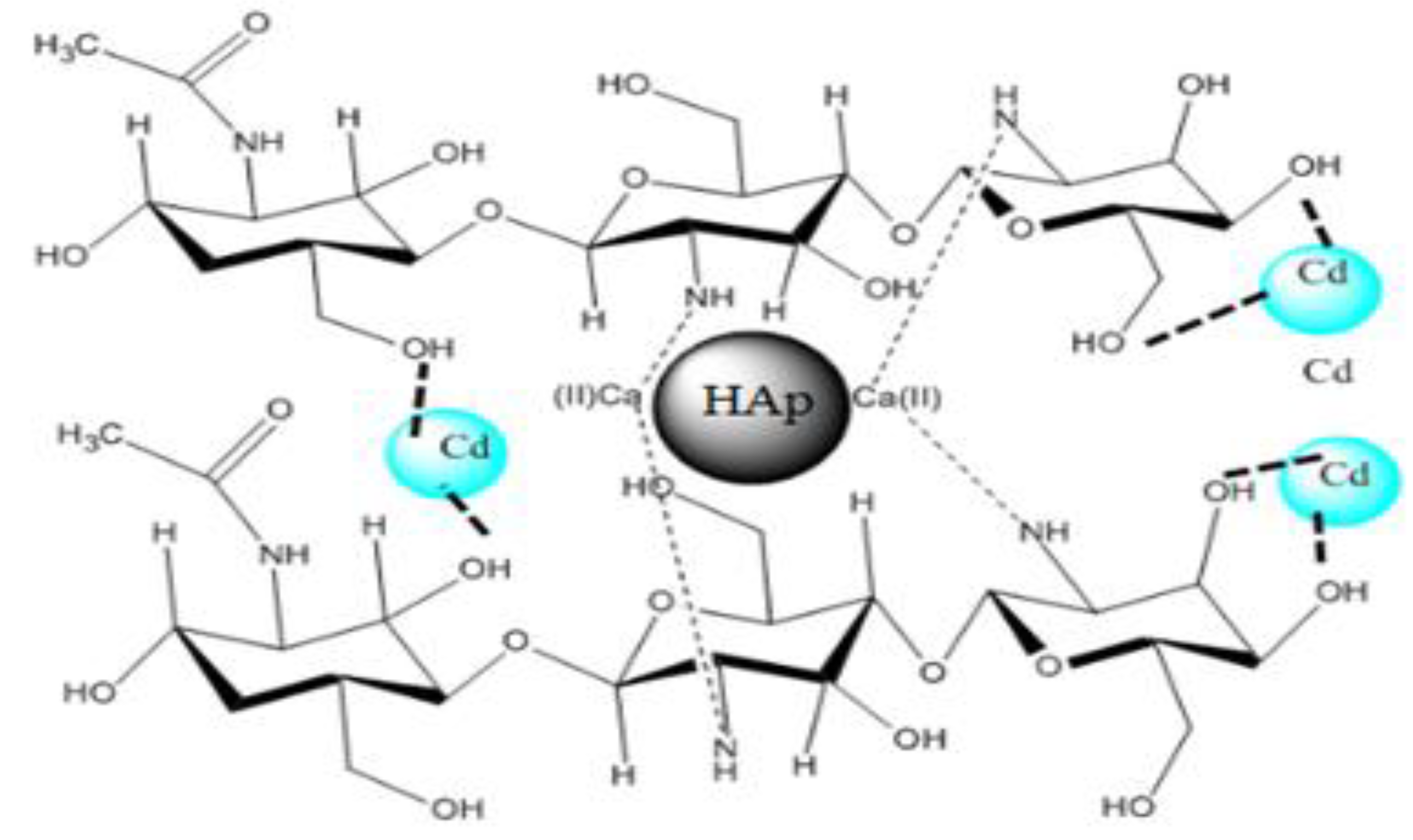 Polymers 14 04265 g014