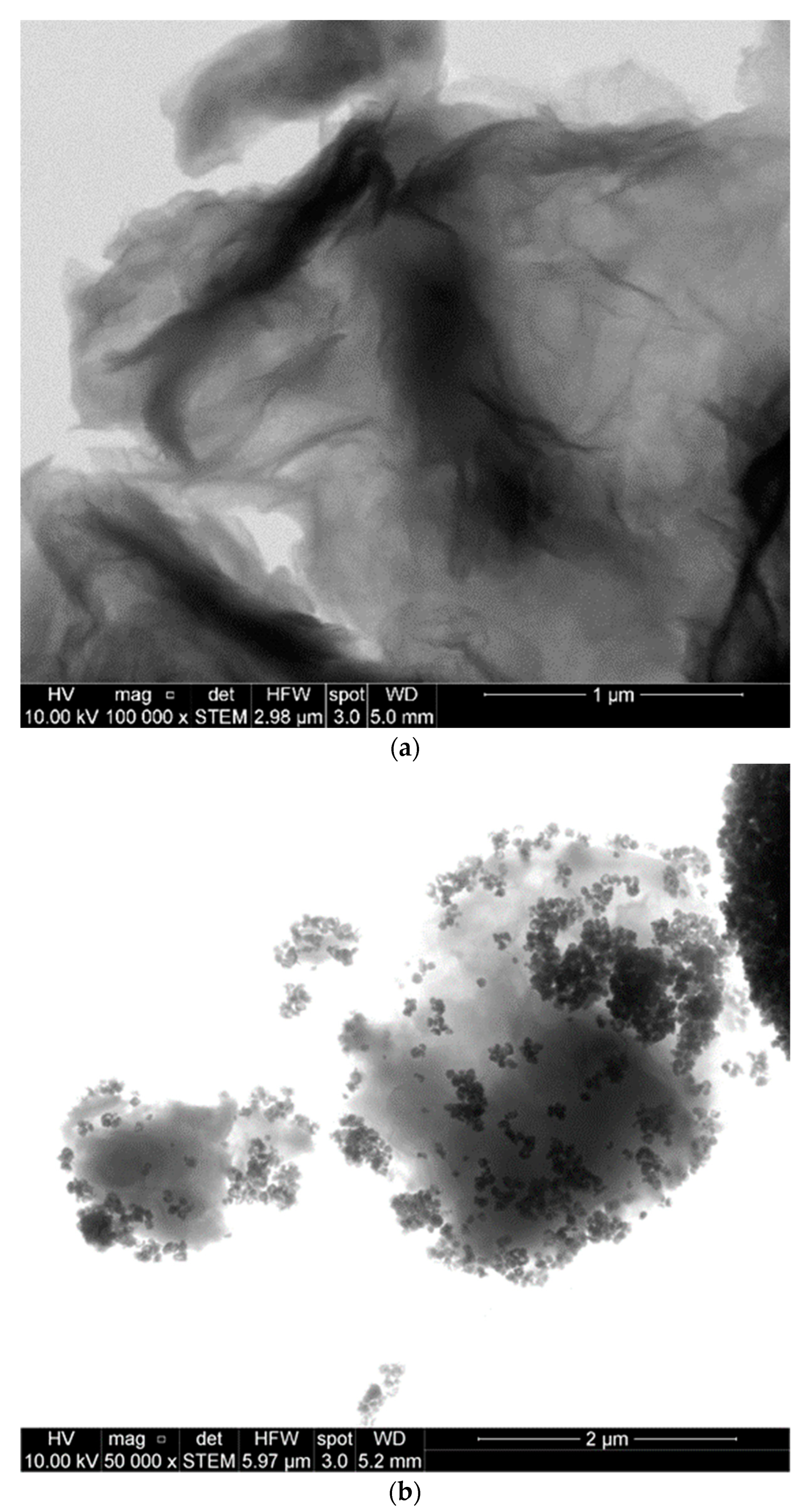 Polymers 14 04266 g006 Polymers 14 04266 g006