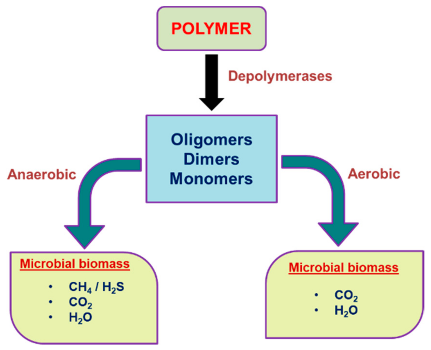 Polymers 14 04271 g002 Polymers 14 04271 g002