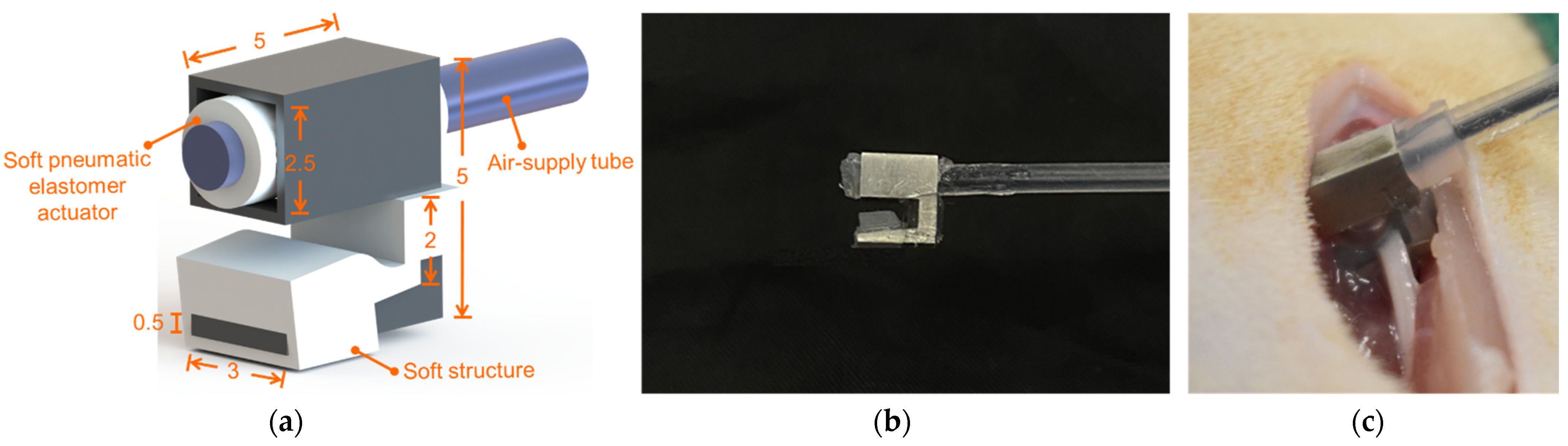 Polymers 14 04272 g001 Polymers 14 04272 g001