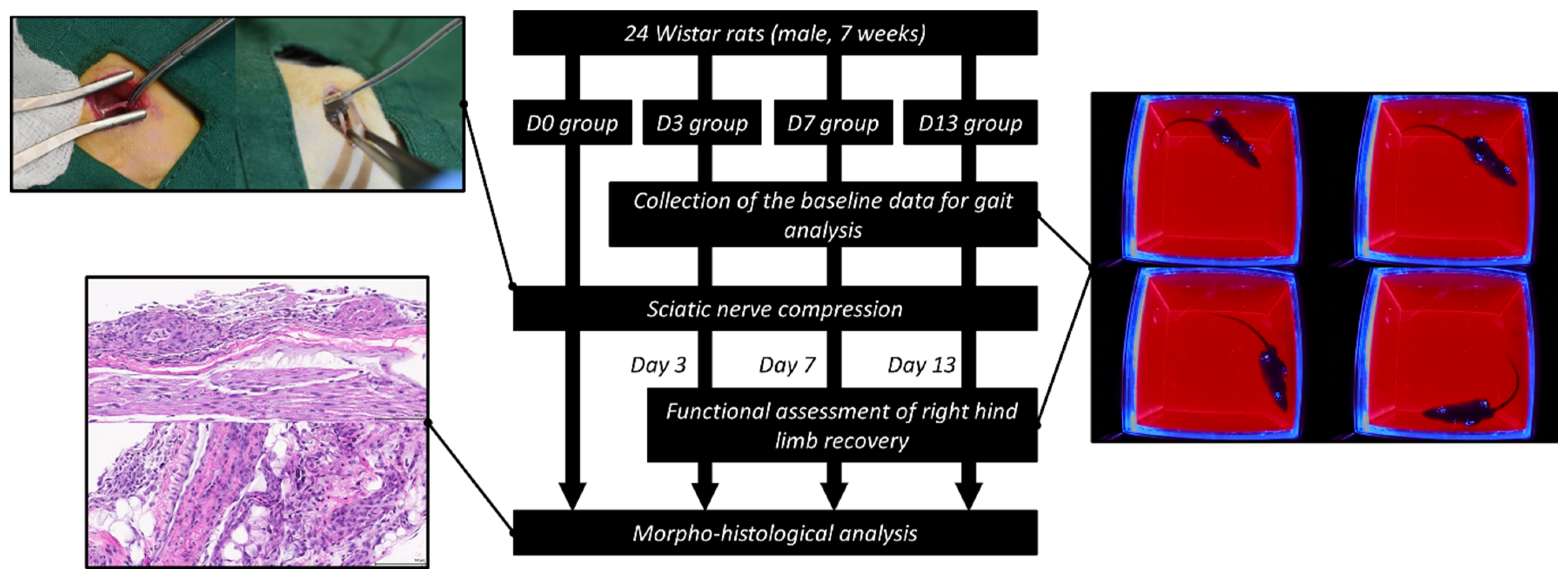Polymers 14 04272 g002 Polymers 14 04272 g002