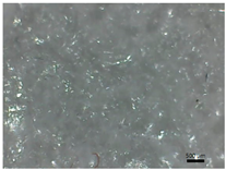 Polymers 14 04275 i002