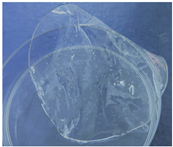 Polymers 14 04275 i003