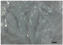 Polymers 14 04275 i004