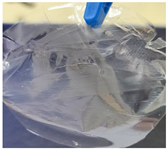 Polymers 14 04275 i005