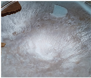 Polymers 14 04275 i013