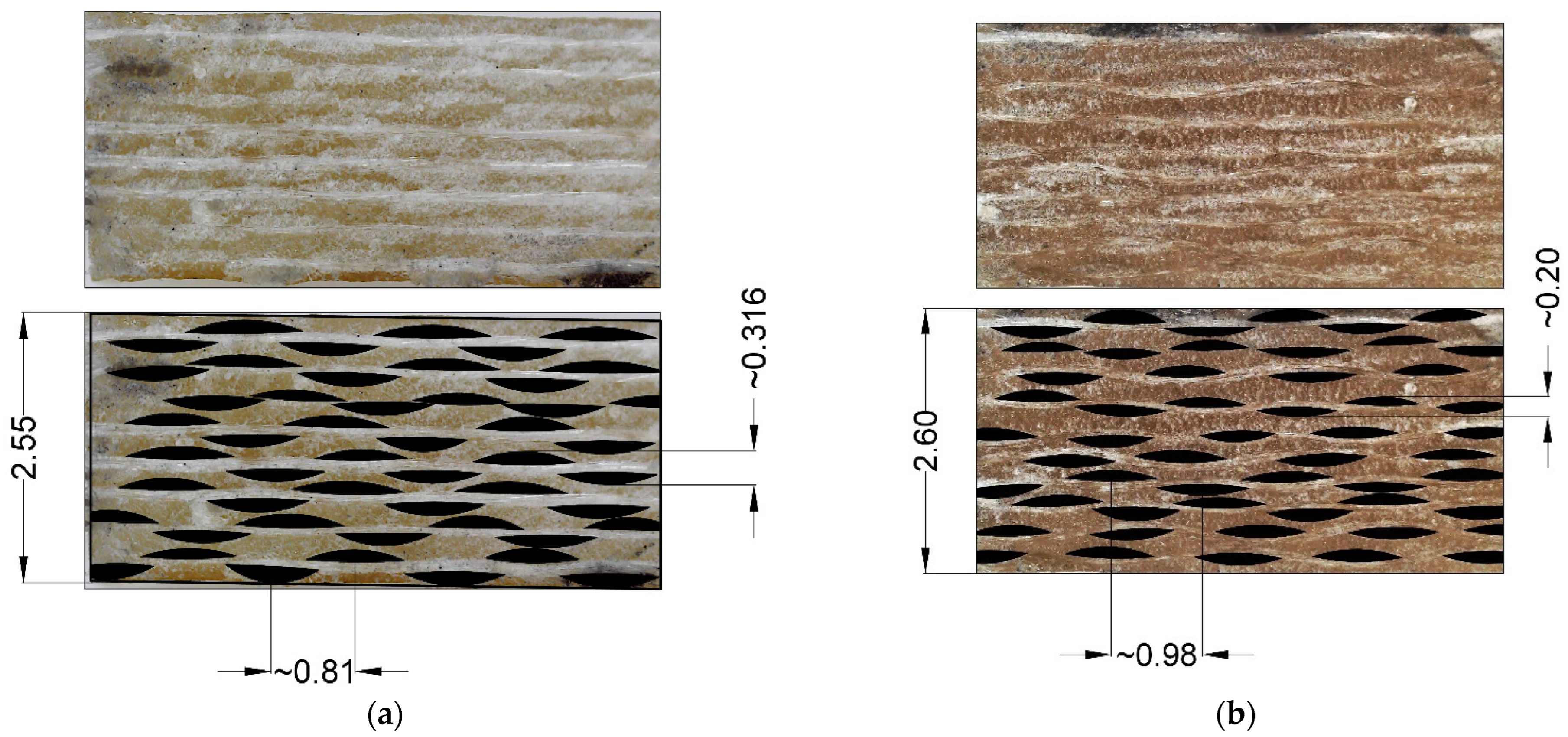 Polymers 14 04281 g004