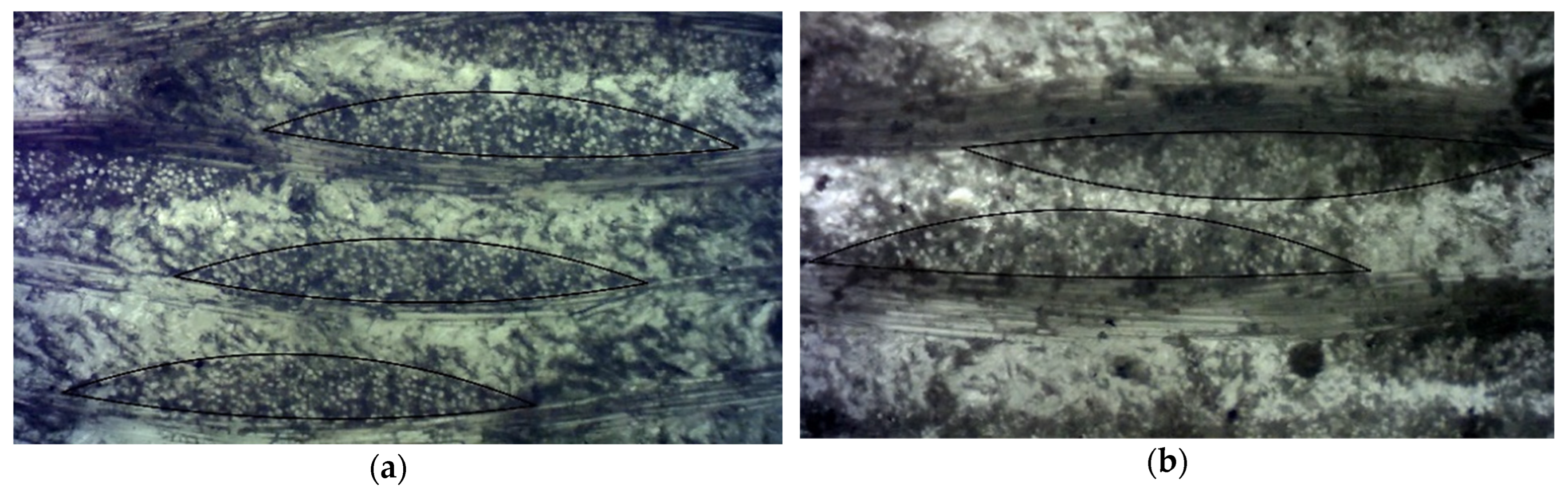Polymers 14 04281 g005