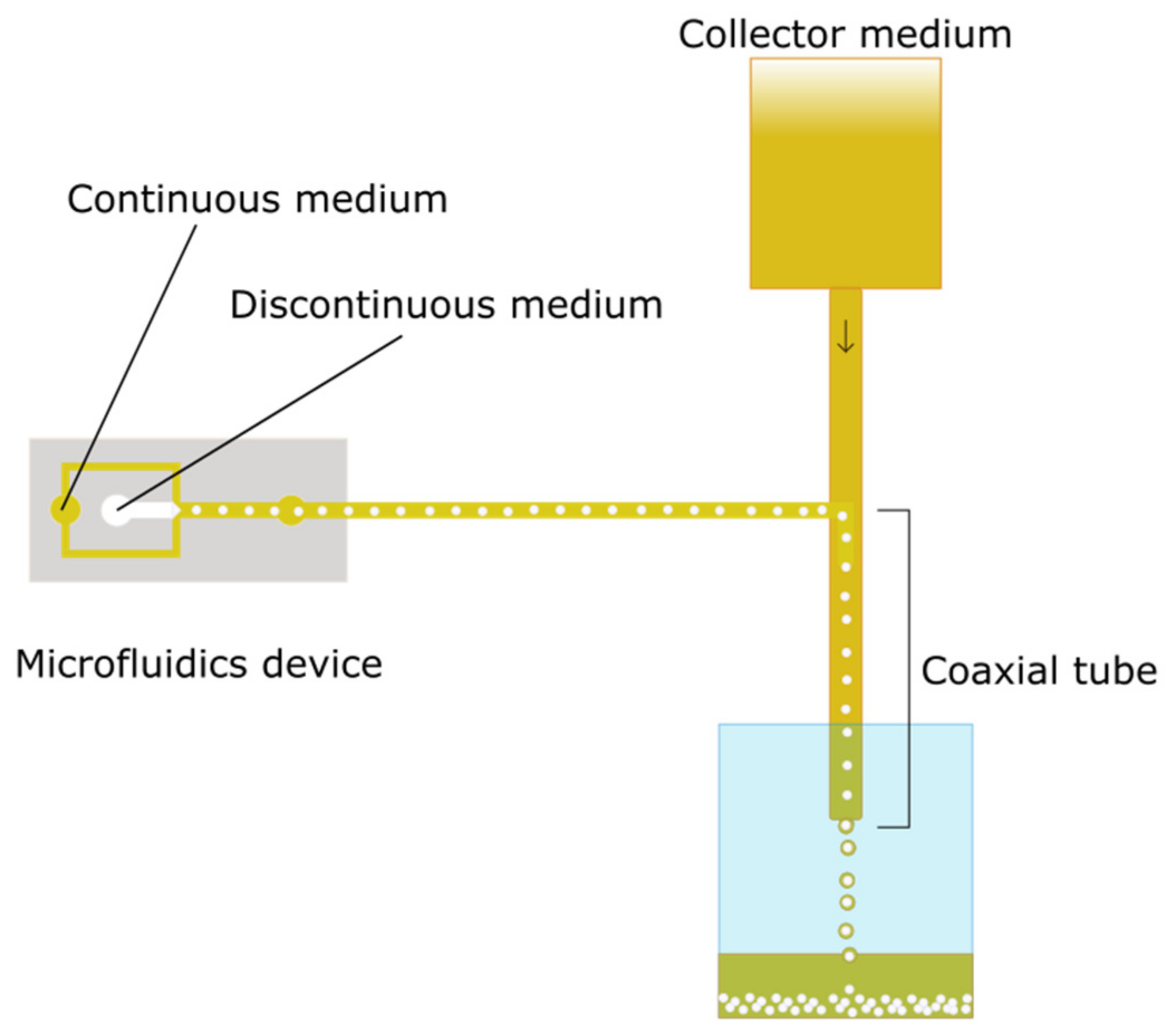 Polymers 14 04282 g001