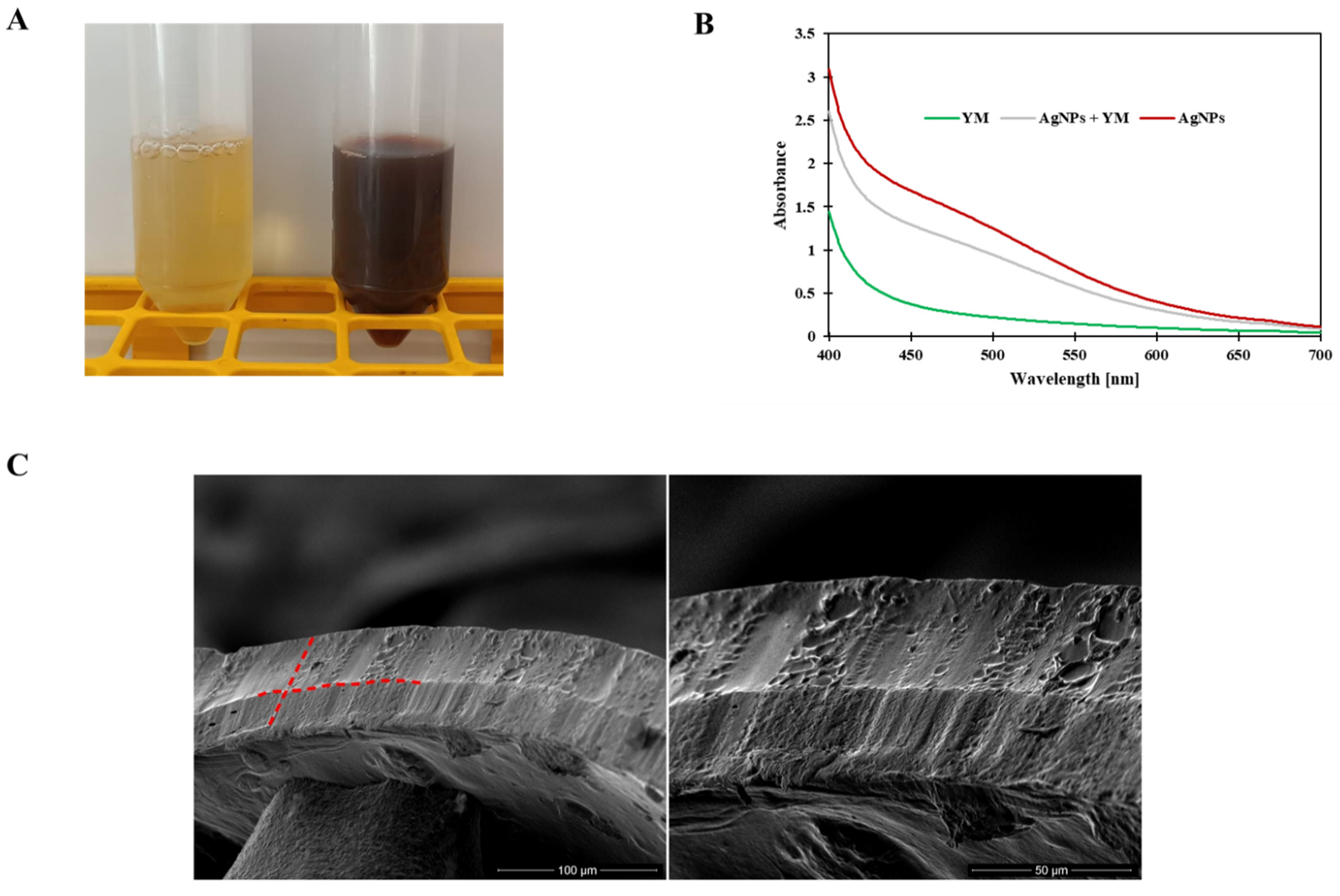 Polymers 14 04283 g001a Polymers 14 04283 g001a
