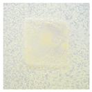 Polymers 14 04283 i013 Polymers 14 04283 i013