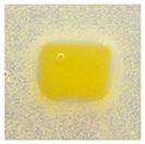 Polymers 14 04283 i015 Polymers 14 04283 i015