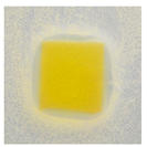 Polymers 14 04283 i019 Polymers 14 04283 i019