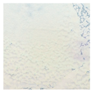 Polymers 14 04283 i021 Polymers 14 04283 i021