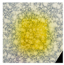 Polymers 14 04283 i036 Polymers 14 04283 i036