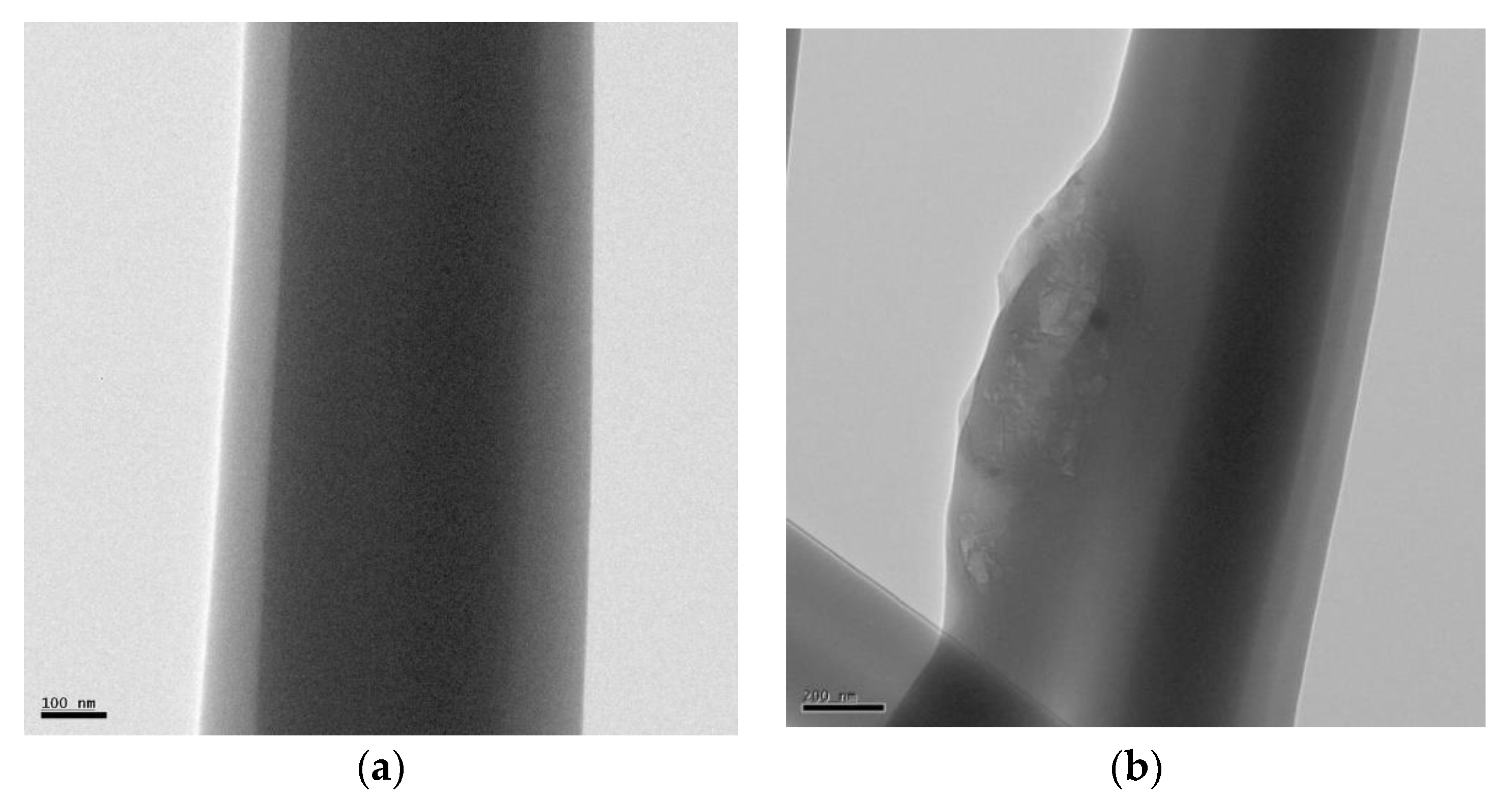 Polymers 14 04288 g004a Polymers 14 04288 g004a
