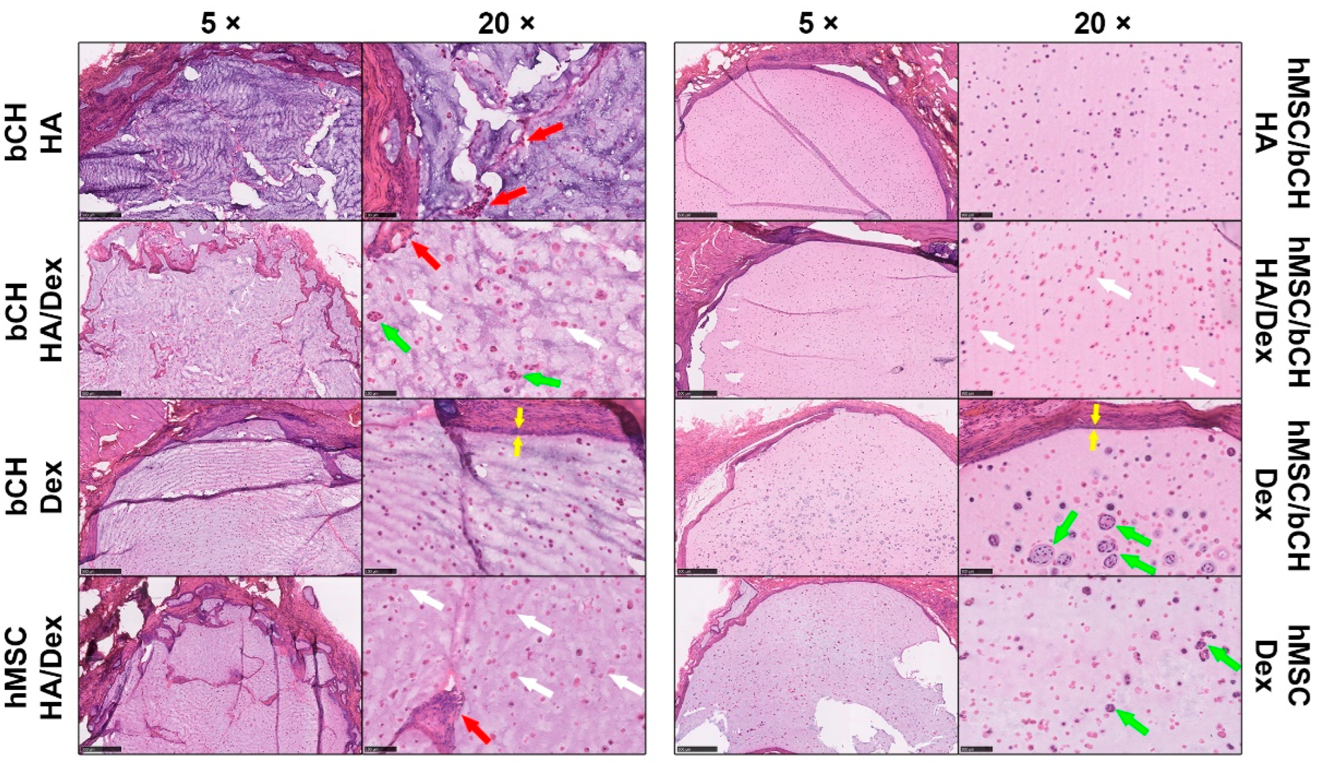 Polymers 14 04292 g002
