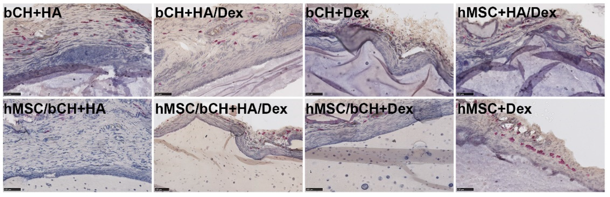 Polymers 14 04292 g003