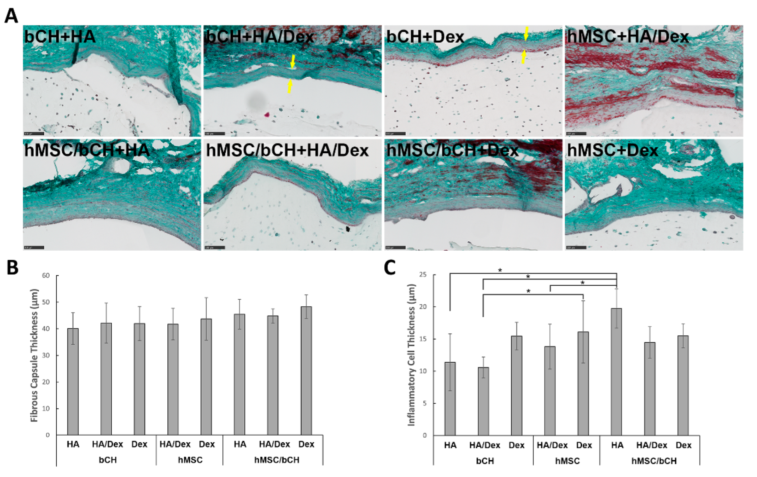 Polymers 14 04292 g004
