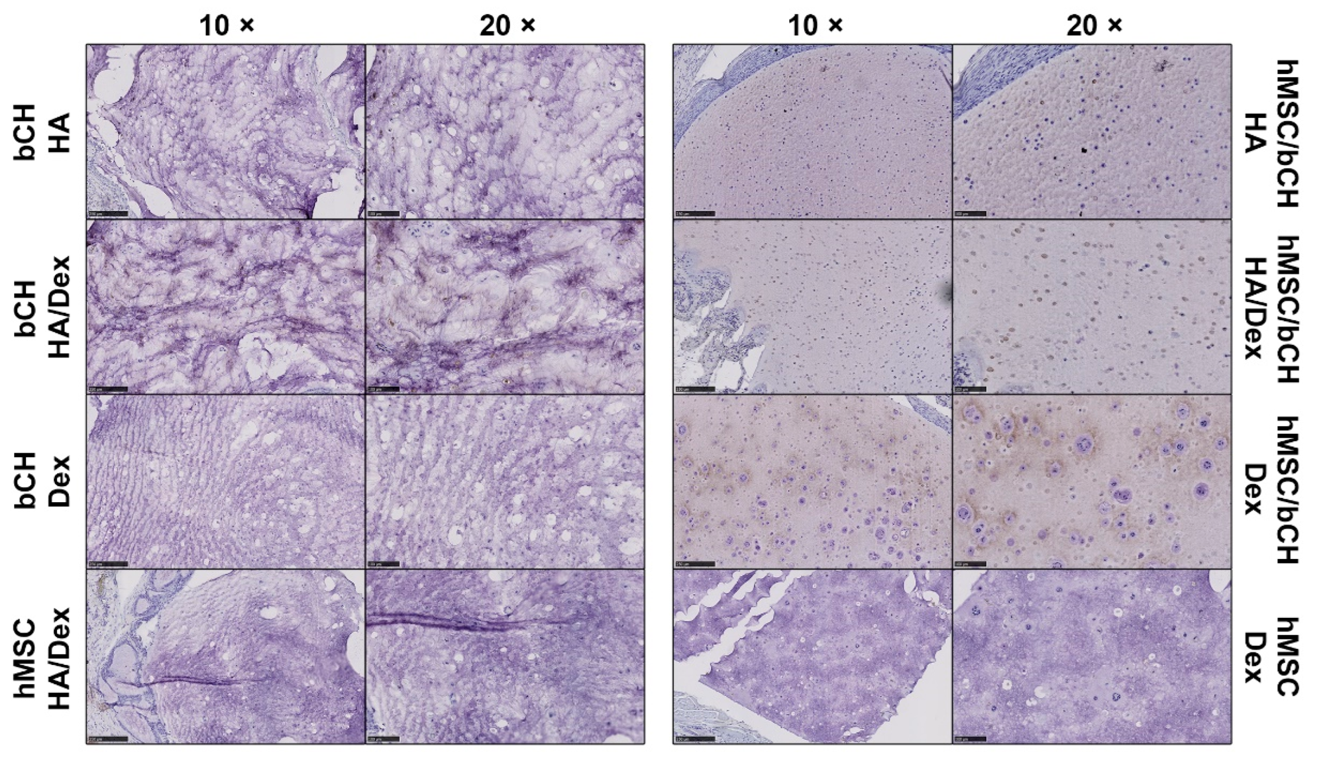 Polymers 14 04292 g005