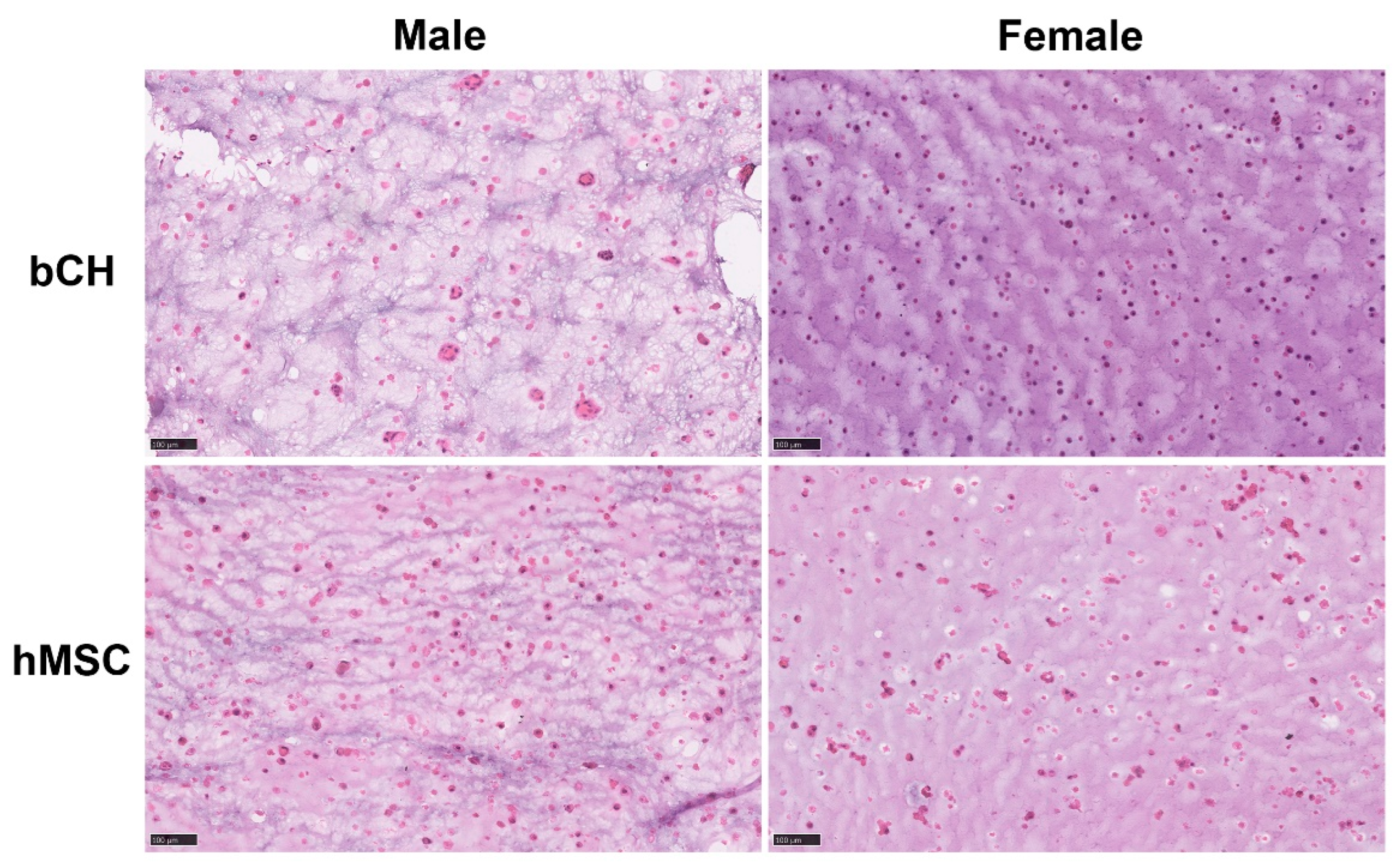 Polymers 14 04292 g006
