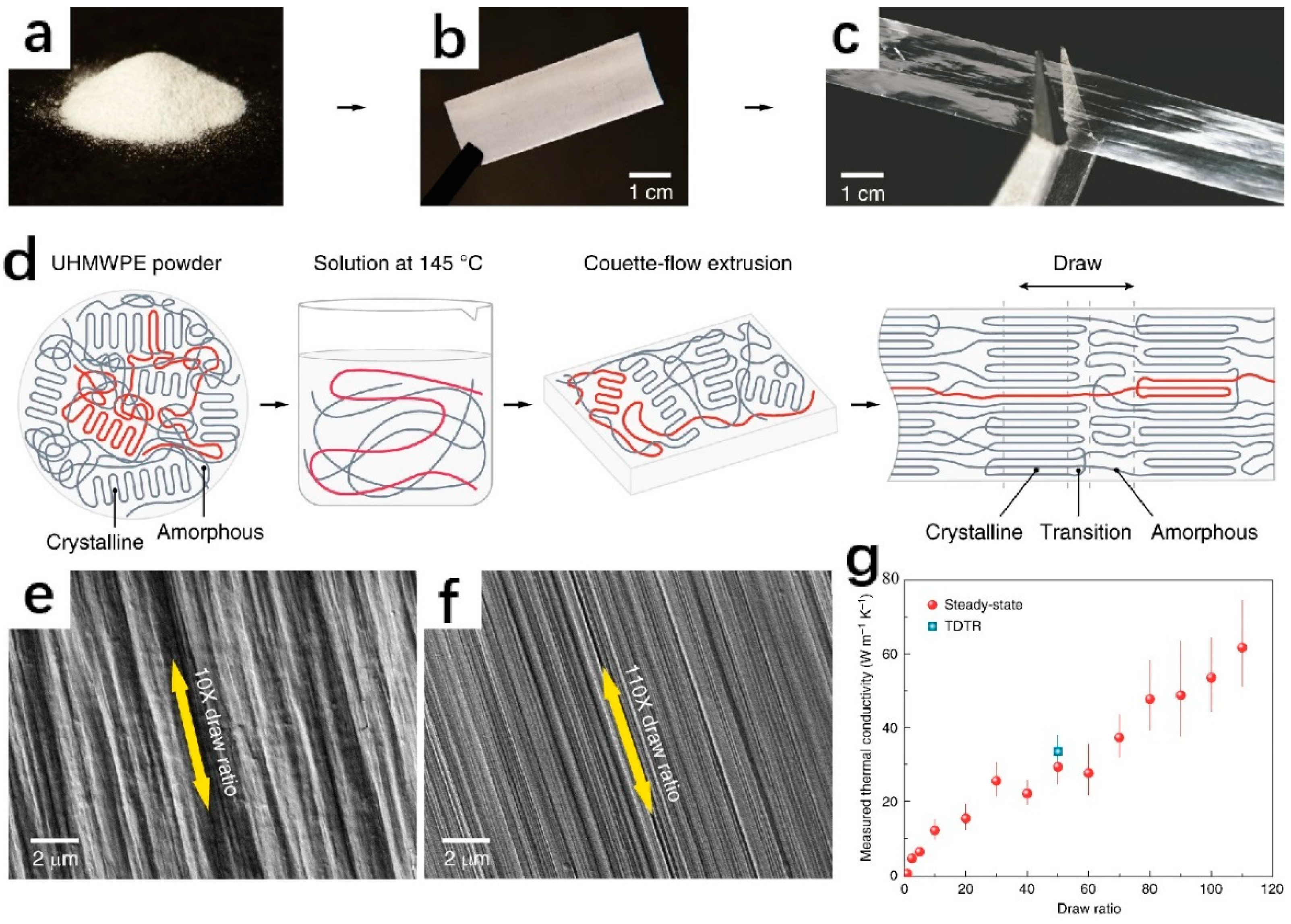 Polymers 14 04297 g008