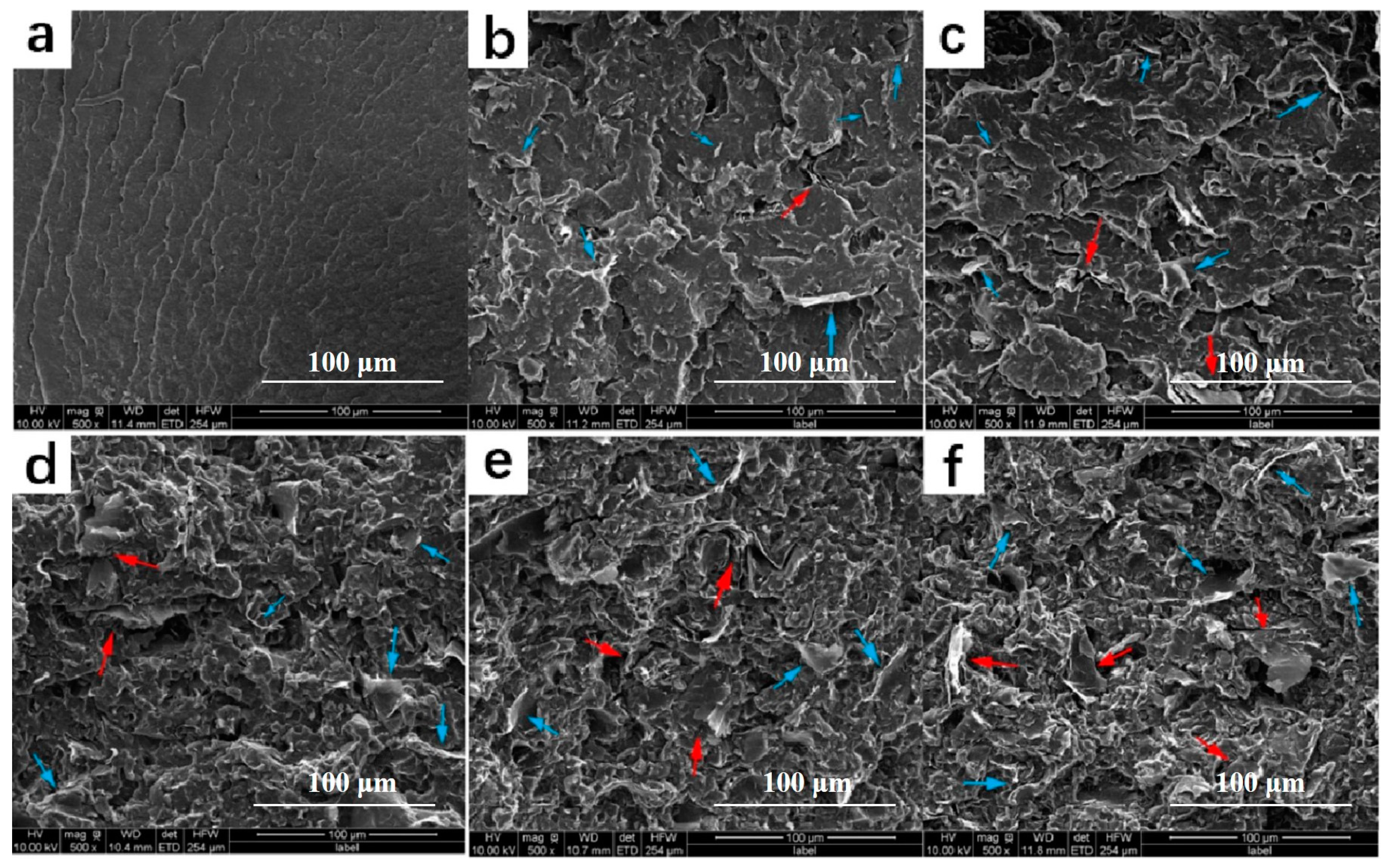 Polymers 14 04297 g009