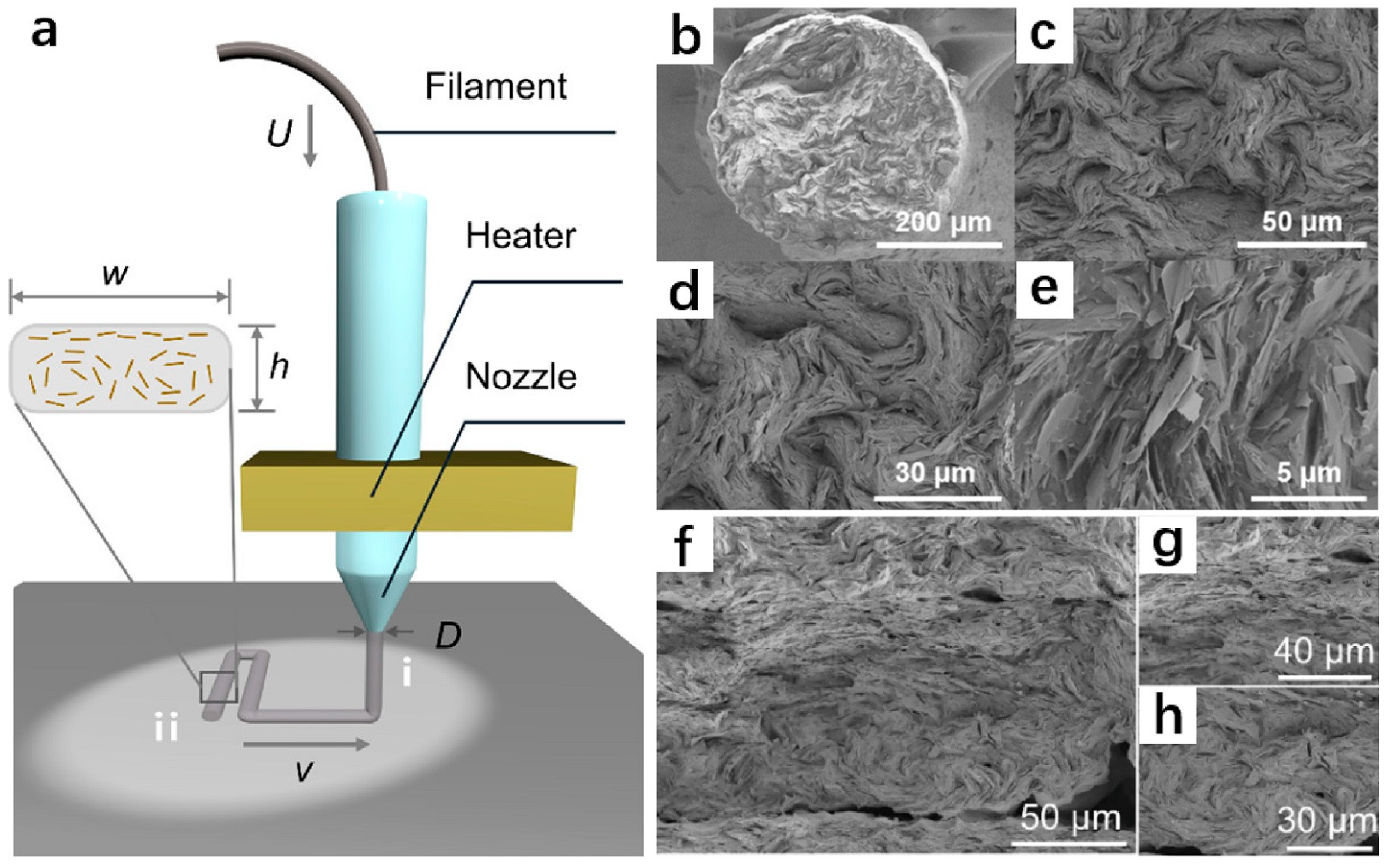 Polymers 14 04297 g010