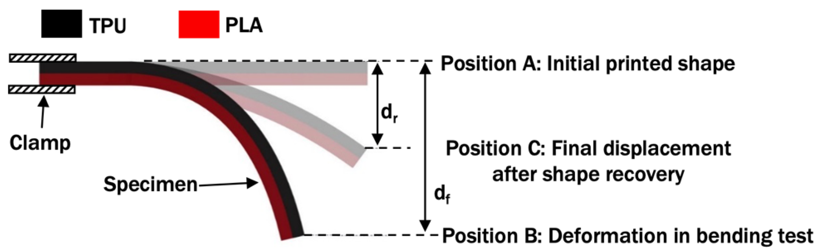 Polymers 14 04304 g004 Polymers 14 04304 g004