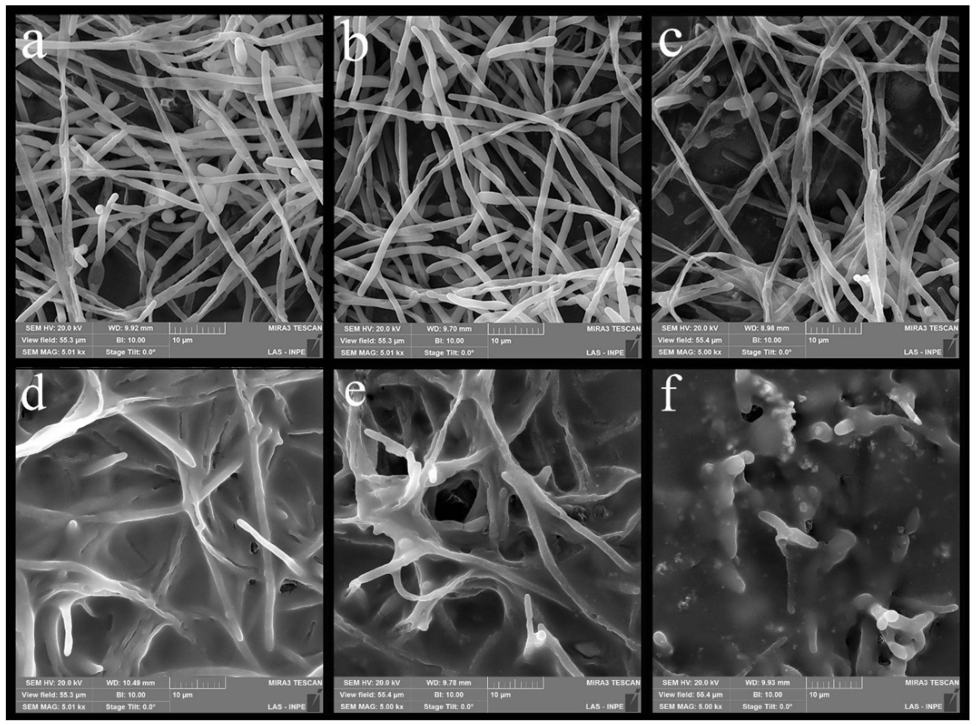 Polymers 14 04306 g008 Polymers 14 04306 g008