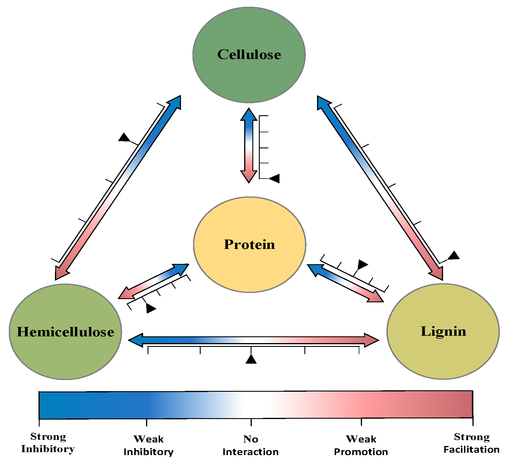 Polymers 14 04307 g005 550
