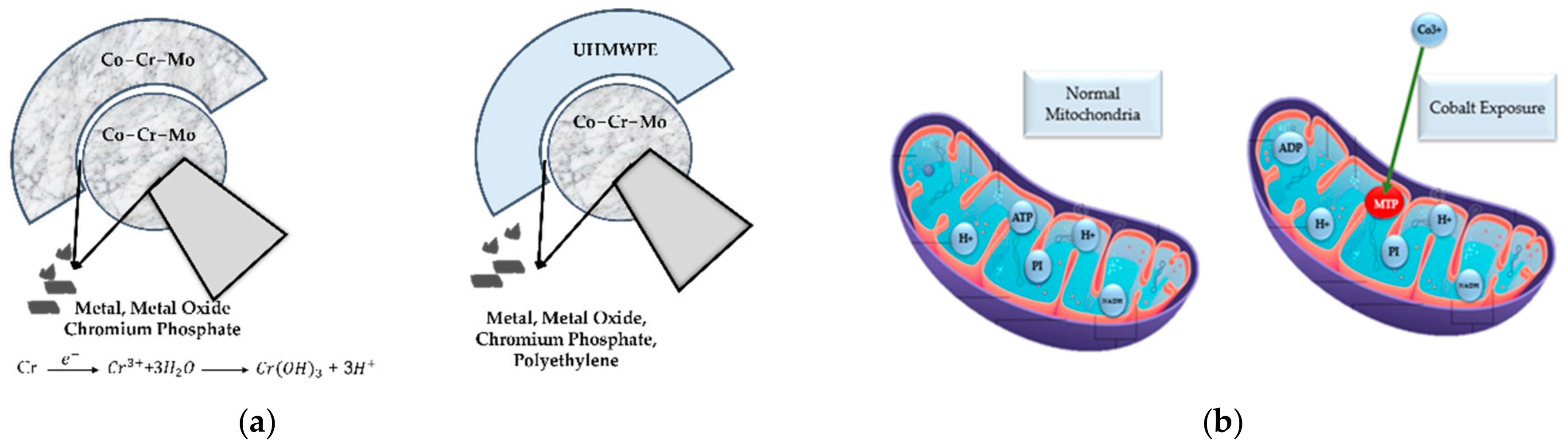 Polymers 14 04308 g011 Polymers 14 04308 g011