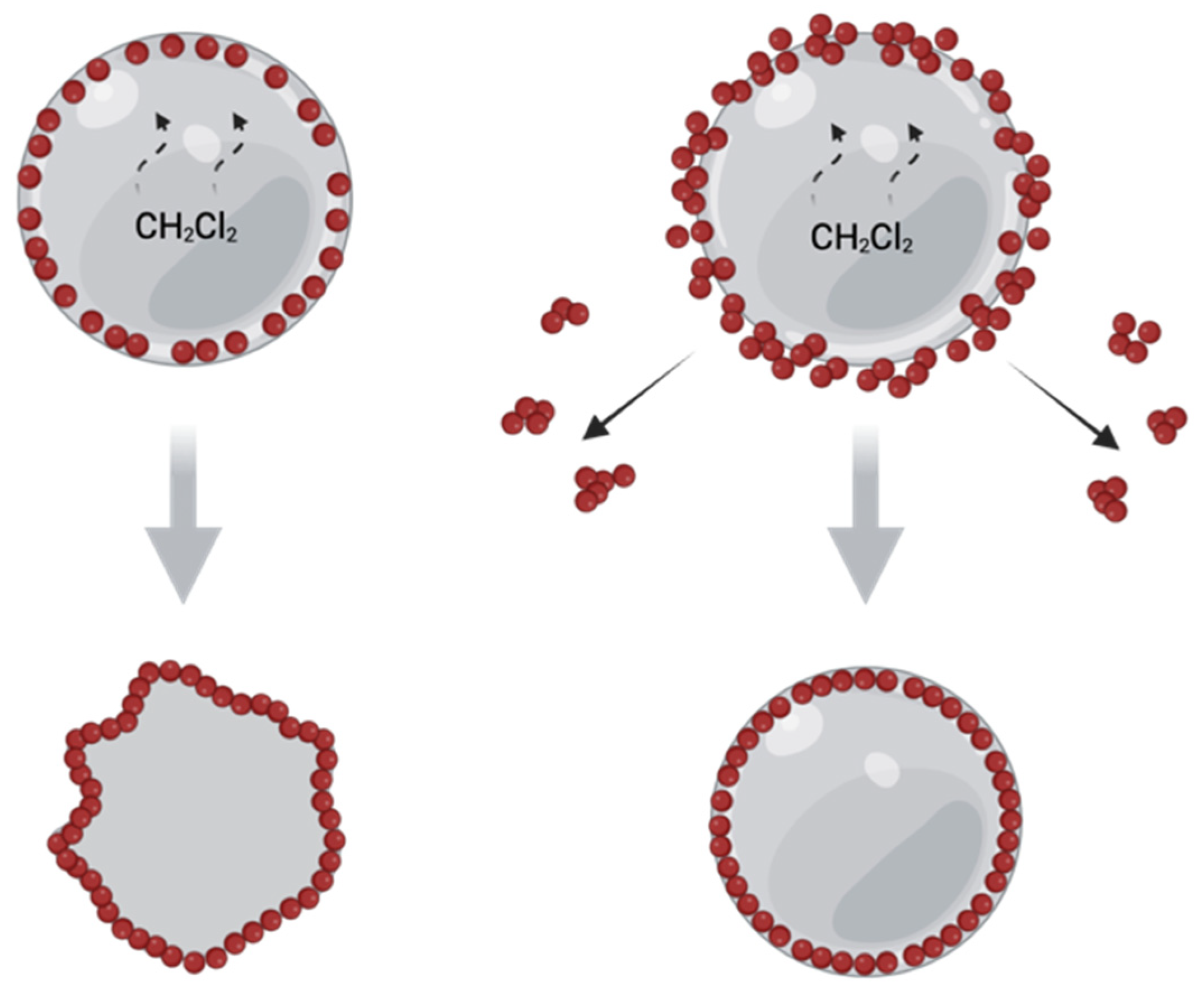 Polymers 14 04309 g006