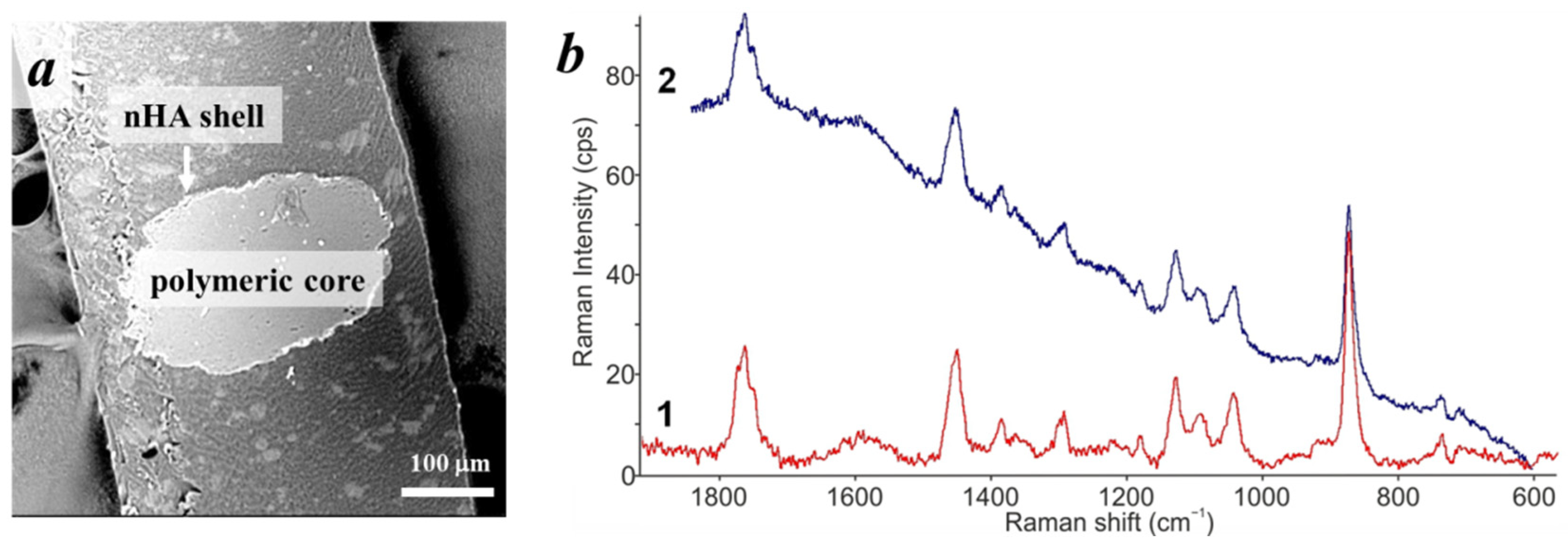 Polymers 14 04309 g007