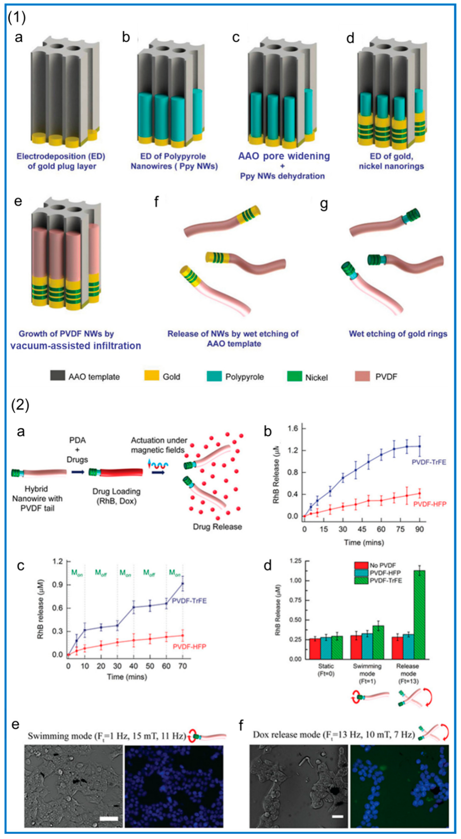 Polymers 14 04311 g013