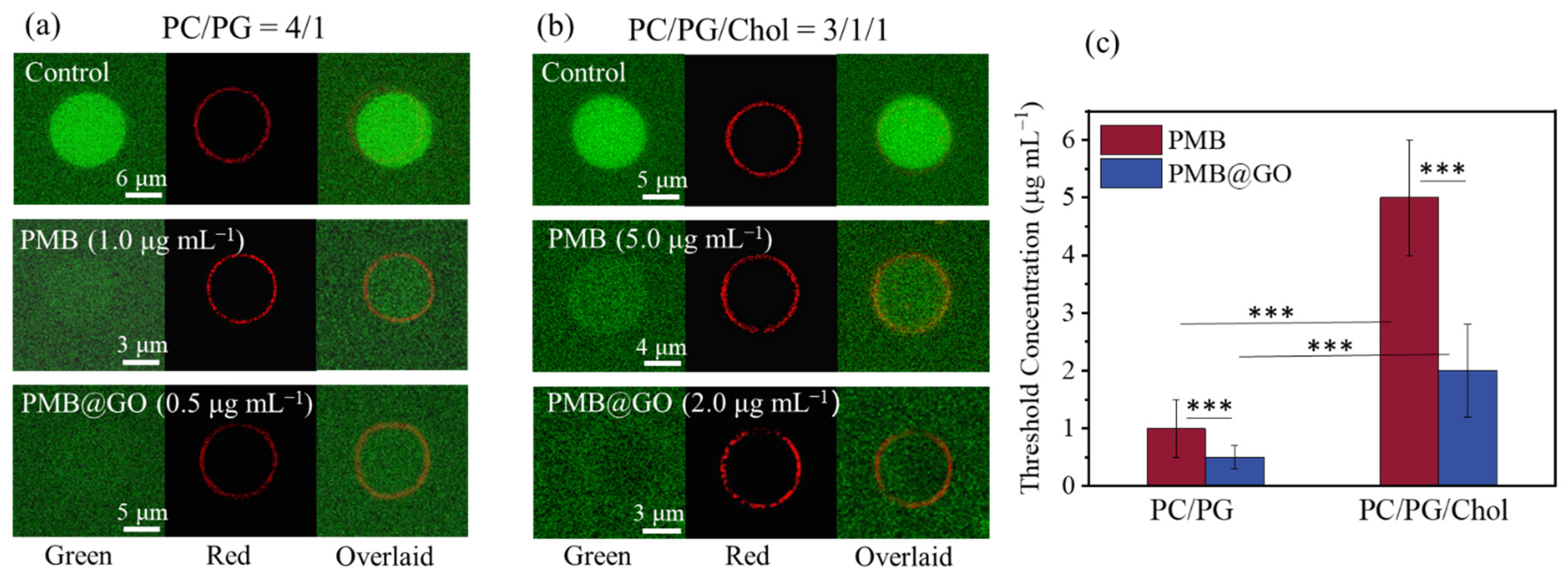 Polymers 14 04316 g004