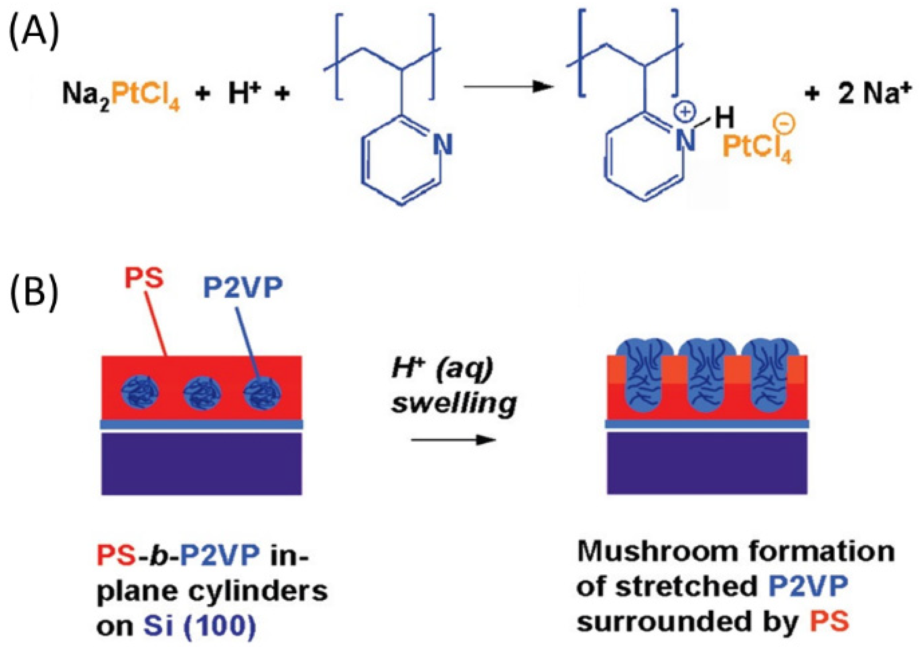 Polymers 14 04317 g002 Polymers 14 04317 g002
