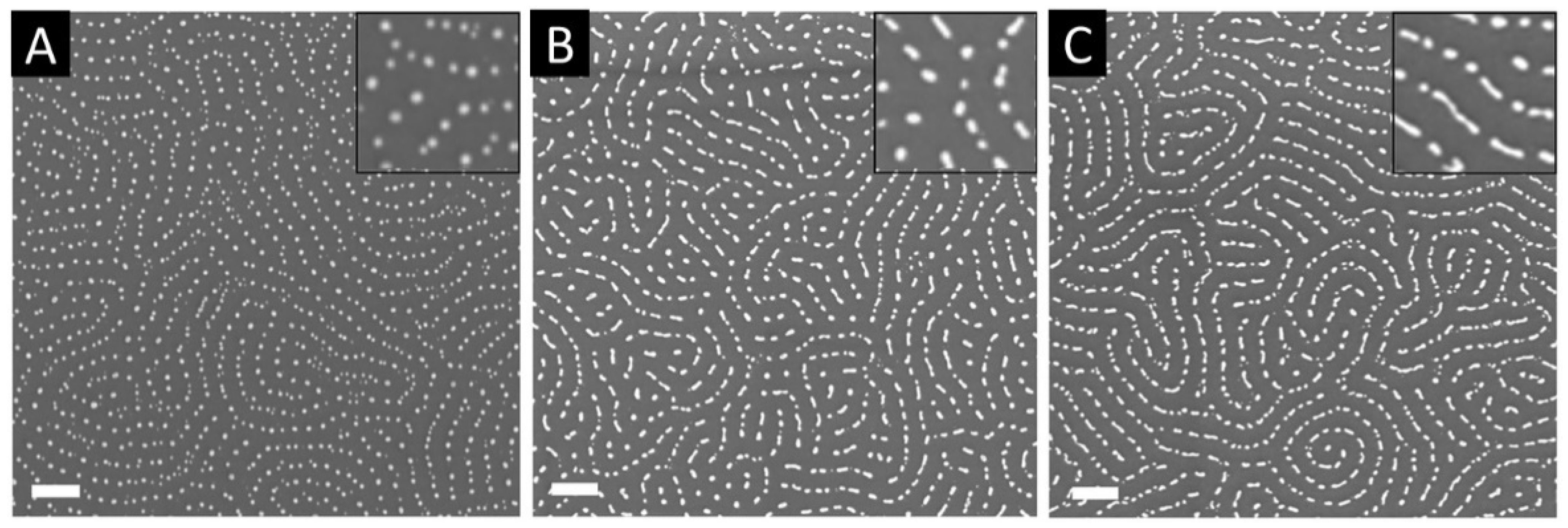 Polymers 14 04317 g005 Polymers 14 04317 g005