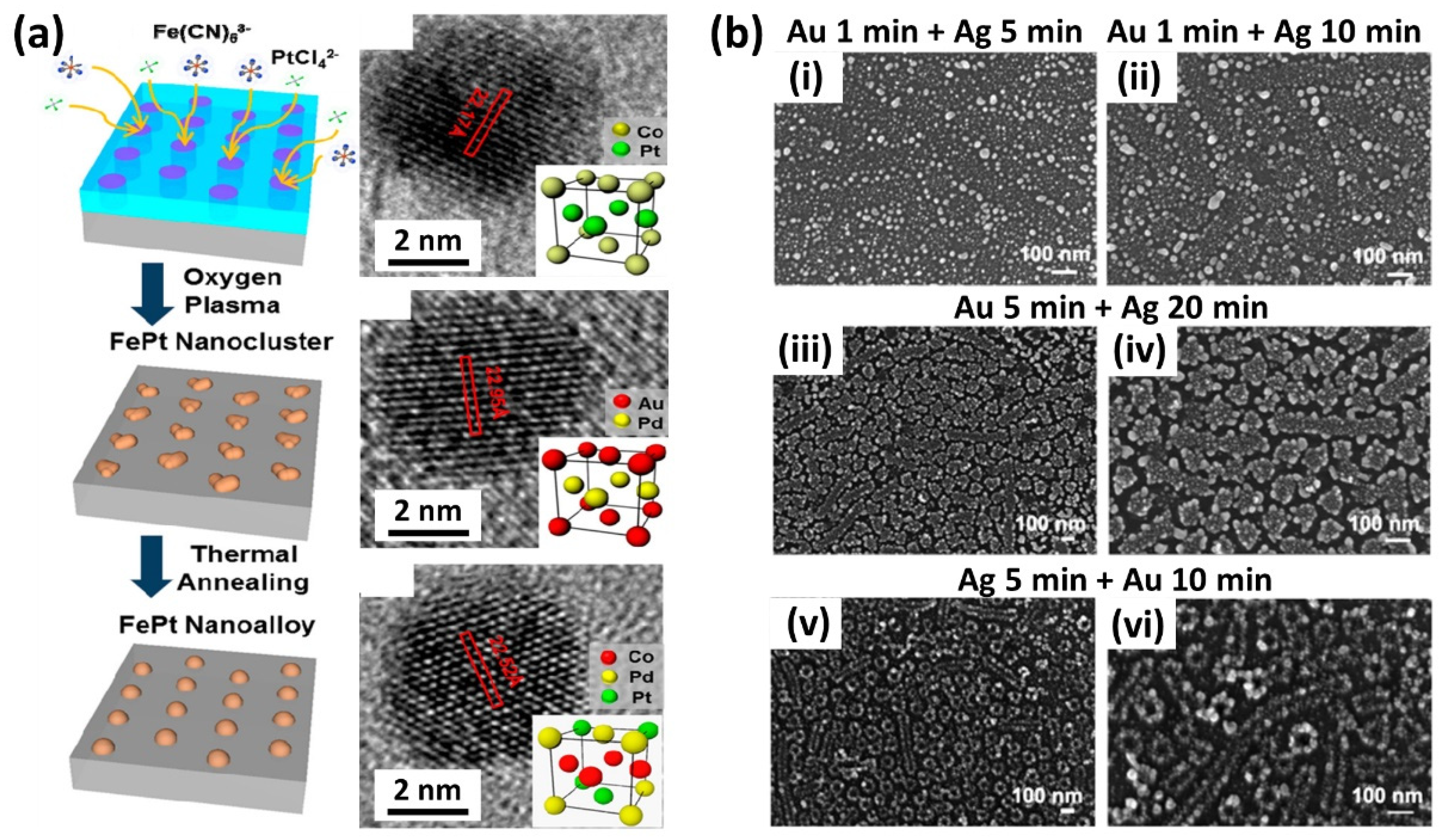 Polymers 14 04317 g006 Polymers 14 04317 g006